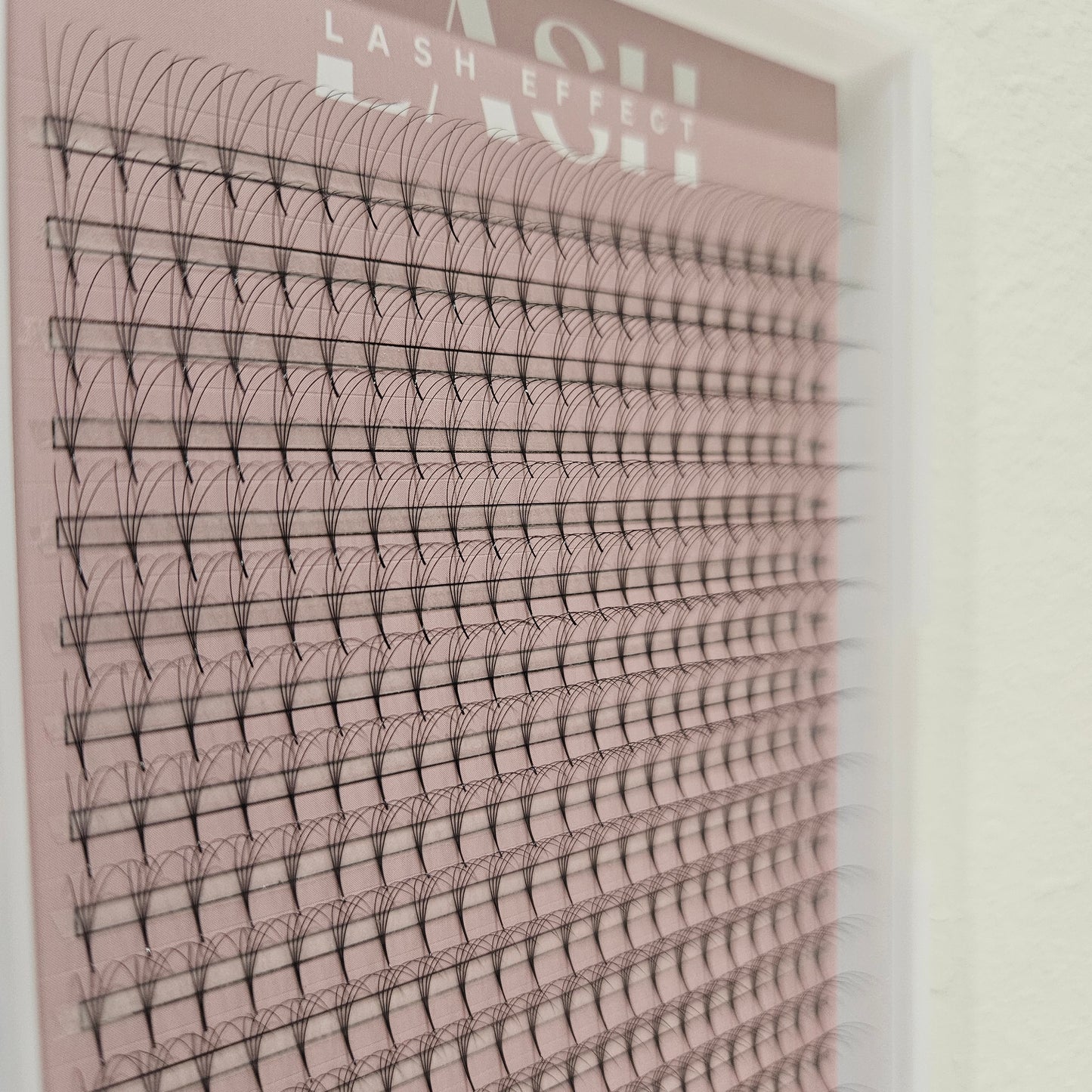 4D XL CASSETTE- PRO POINT