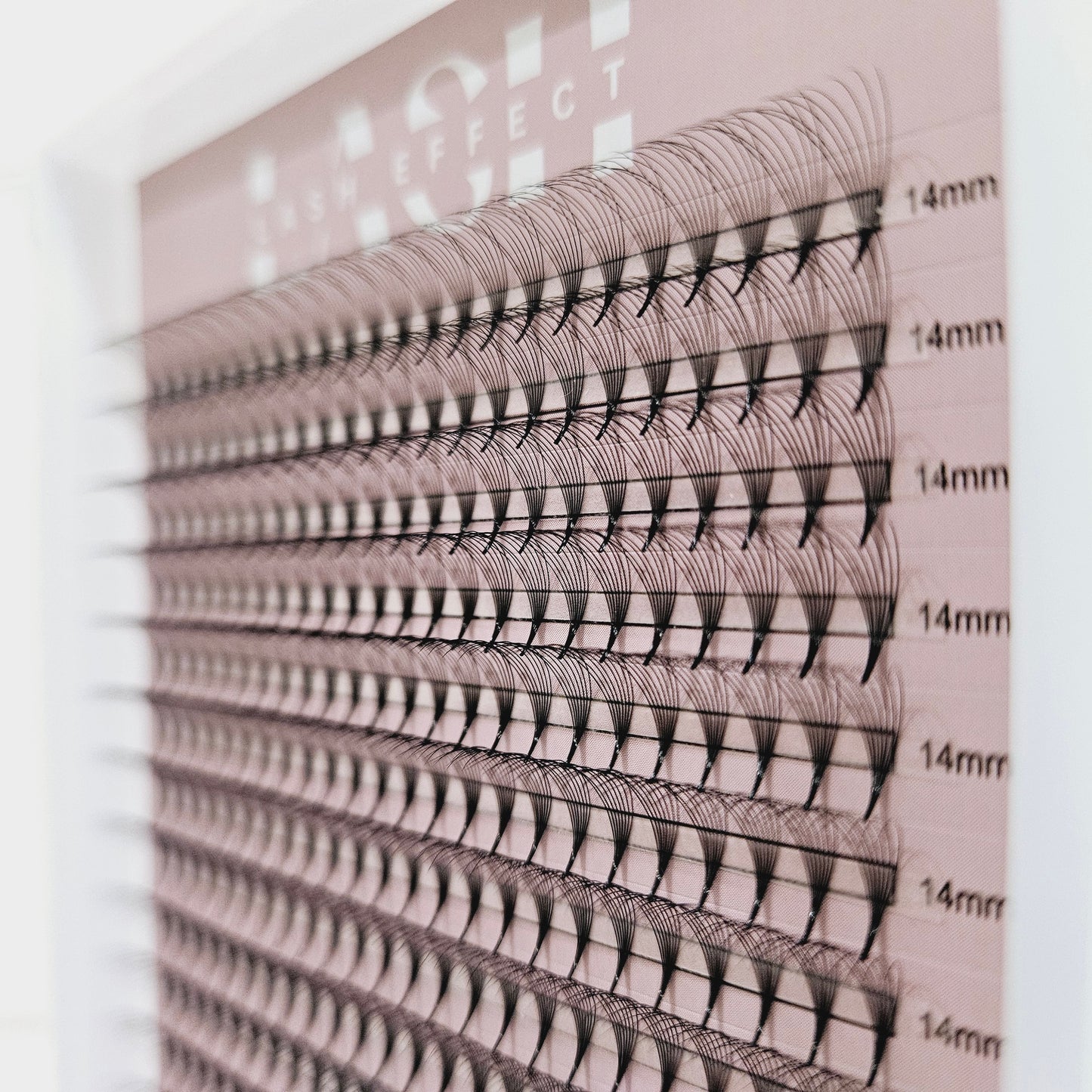 8D XL CASSETTE -PROPOINT