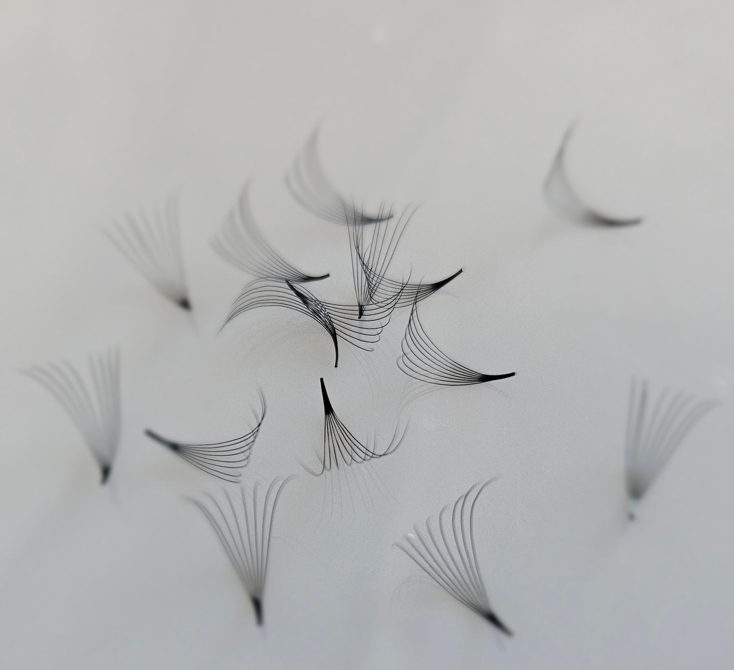 8D XL CASSETTE -PROPOINT