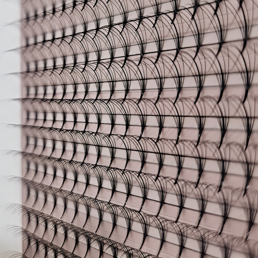 5D HYBRID XL CASSETTE